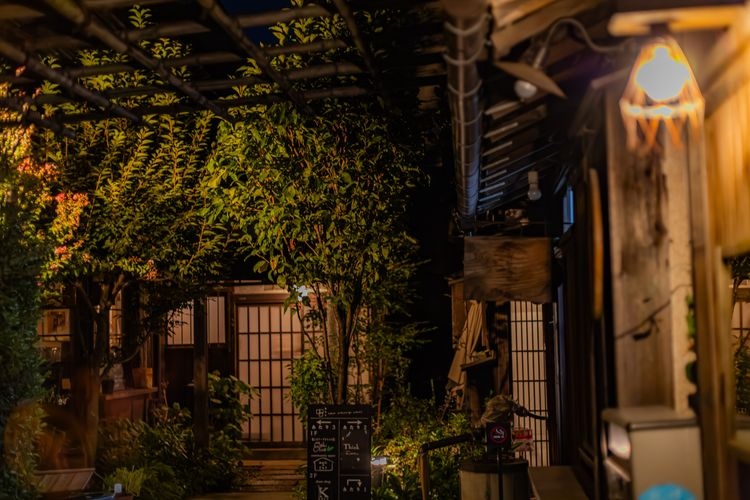 Ueno Sakuragi