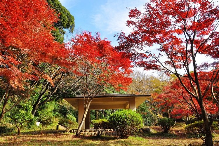 Genjiyama Park