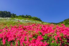 Tourist destination images of Hime no Sato Park(3)