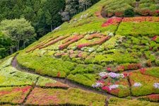 Tourist destination images of Hime no Sato Park(3)