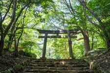 Tourist destination images of Izusan Shrine(1)