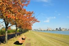 Tourist destination images of Yasuragi Dotei (Restful Embankment)(2)