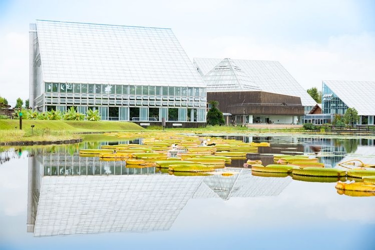 Toyama Prefectural Central Botanical Garden