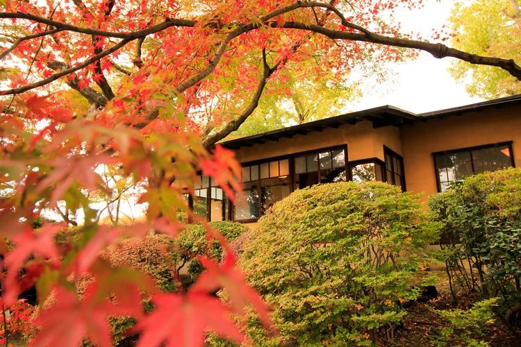 Chochikukyo (Former Koji Fujii Residence)