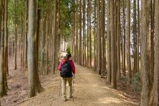 Tourist destination images of Jorakuin Temple (Takayama Fudo-son)(2)