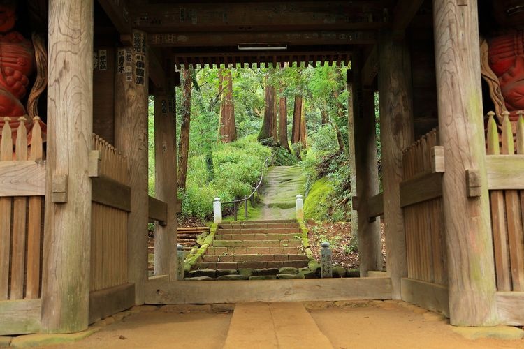 Hinata Yakushi Hojyo-bo Temple