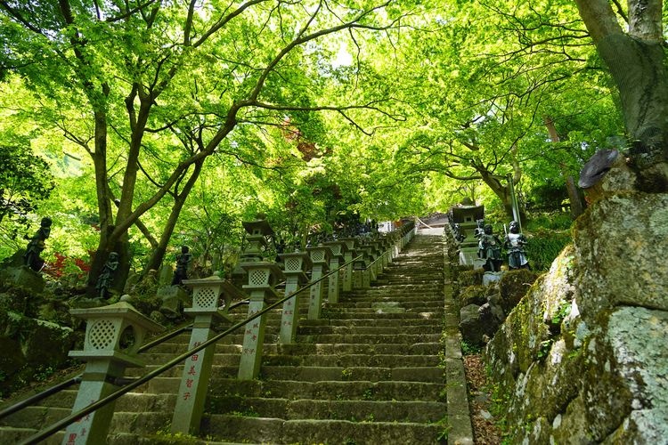 Oyamadera Temple