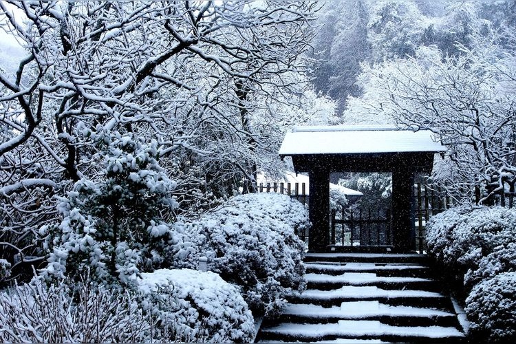 Jochi-ji Temple