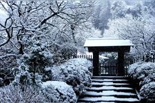 Tourist destination images of Jochi-ji Temple(1)