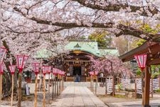 Tourist destination images of Numazu Hie Jinja Shrine(2)