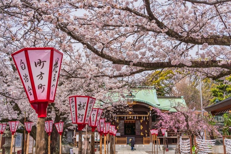 Numazu Hie Jinja Shrine