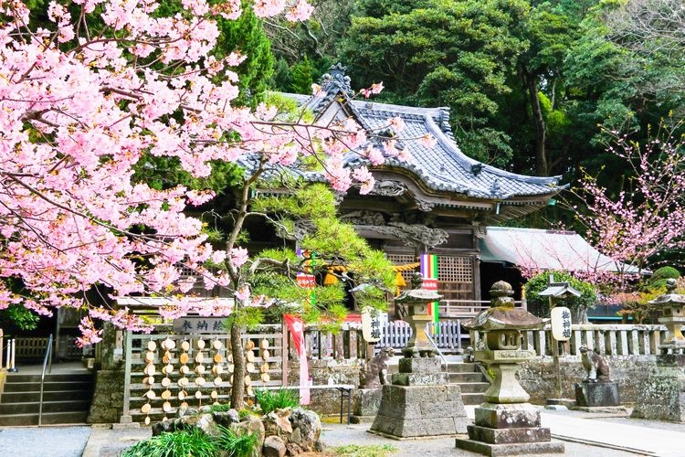 Tourist destination images of Ikonahime-myojin Shrine (Shirahma Shrine)(5)