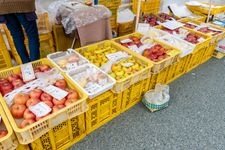 Tourist destination images of Miyagawa Morning Market(2)