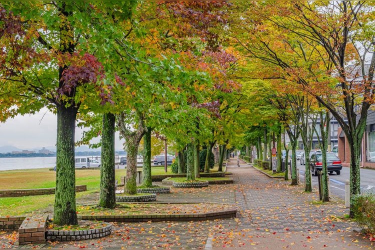 Otsu Lakeside Nagisa Park