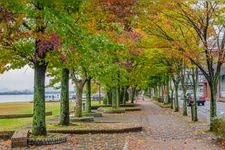 Tourist destination images of Otsu Lakeside Nagisa Park(1)