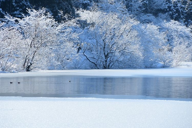 Lake Yogo