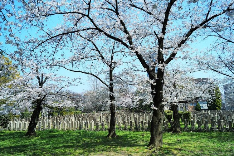 Sankou Shrine