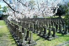 Tourist destination images of Sankou Shrine(3)