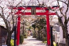 Tourist destination images of Hine Shrine(1)