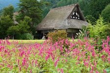 Tourist destination images of Myousen-ji Kuri Local History Museum(1)