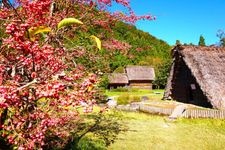 Tourist destination images of Open-Air Museum Gassho-style Farmhouses(2)