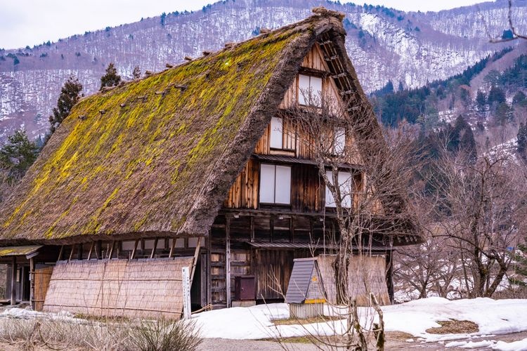 Tourist destination images of Open-Air Museum Gassho-style Farmhouses(4)