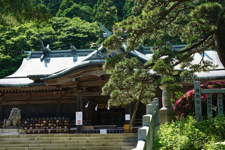 Hakodate Hachiman-gu Shrine