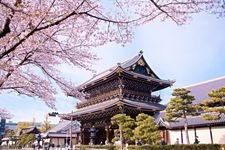 Tourist destination images of Higashi Honganji Temple (Shinzo Honbyo)(4)