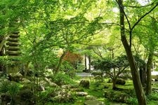 Tourist destination images of Kakuen-ji Temple(2)