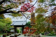 Tourist destination images of Kakuen-ji Temple(3)