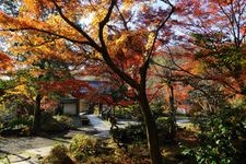 Tourist destination images of Kakuen-ji Temple(4)