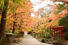 Tourist destination images of Yusanji Temple(2)