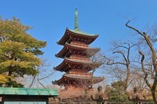 Tourist destination images of Former Kan'eiji Temple Five-Story Pagoda(2)