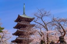 Tourist destination images of Former Kan'eiji Temple Five-Story Pagoda(3)