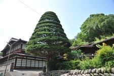 Tourist destination images of Akazawa-juku (Important Preservation District for Groups of Traditional Buildings)(3)