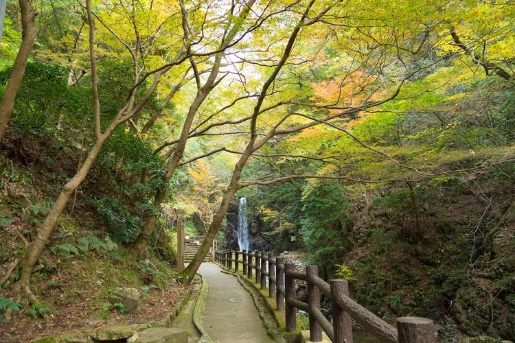 鼓ヶ滝公園