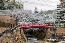 Tourist destination images of Nene Bridge(1)