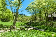 Tourist destination images of Rokko Alpine Botanical Garden(3)