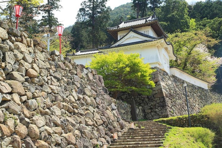 Izushi Castle Ruins