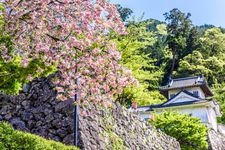 Tourist destination images of Izushi Castle Ruins(2)