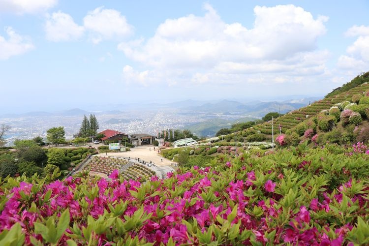 大平山山頂公園