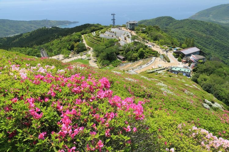 Taiheiyama Summit Park