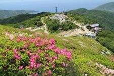 Tourist destination images of Taiheiyama Summit Park(1)