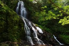 Tourist destination images of Akifusa Shiratono Falls(2)