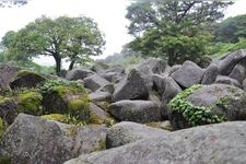 Tourist destination images of Manakura's Great Rock Field(2)