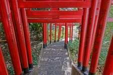 Tourist destination images of Akizen Shrine(1)