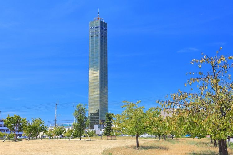 Play Park Gold Tower