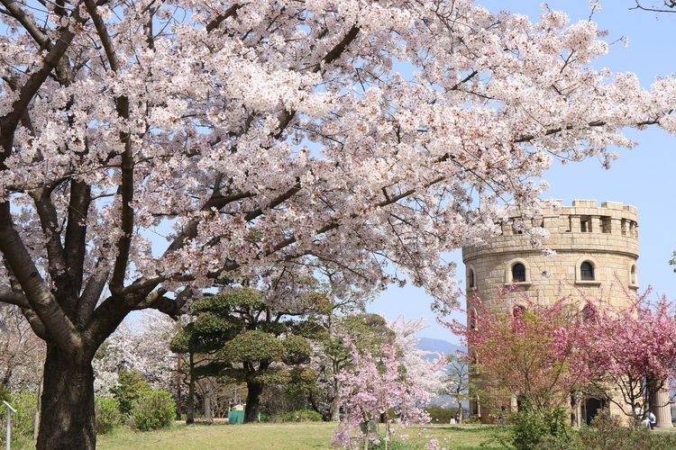 Matsuyama General Park