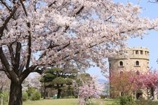 Tourist destination images of Matsuyama General Park(1)