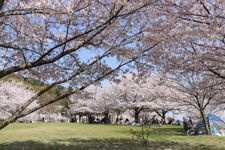 Tourist destination images of Matsuyama General Park(3)